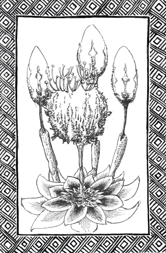 Slide 4