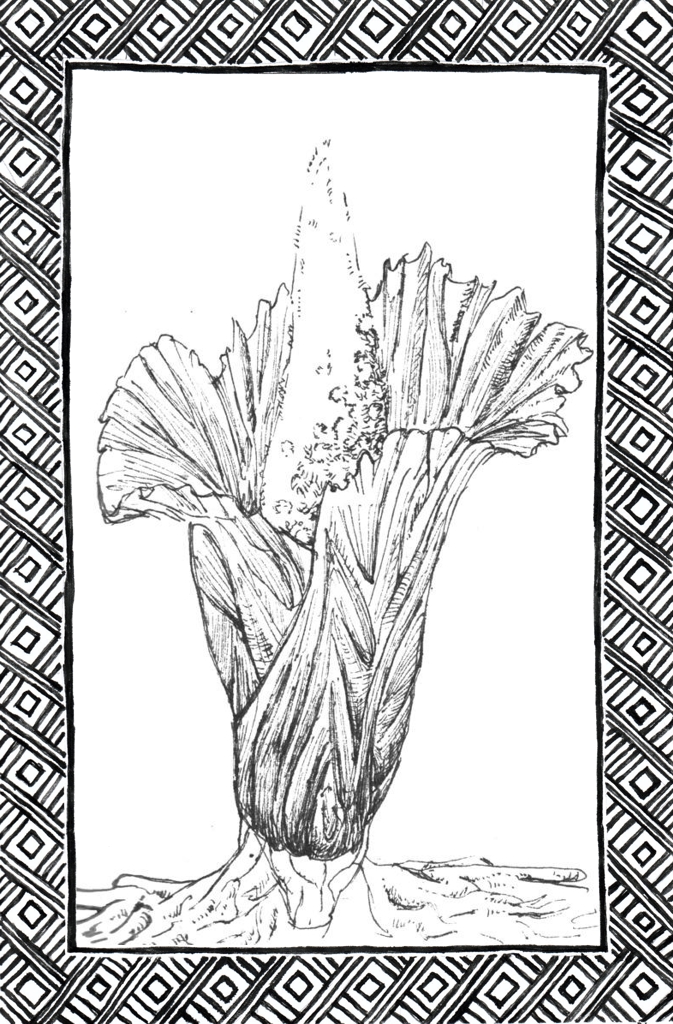 Slide 9
