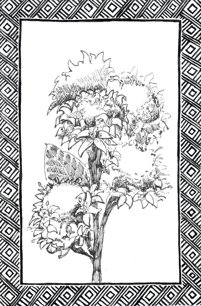 Slide 23