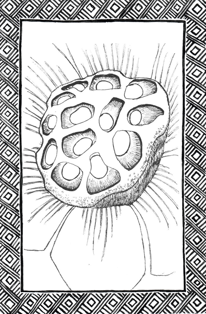 Slide 29