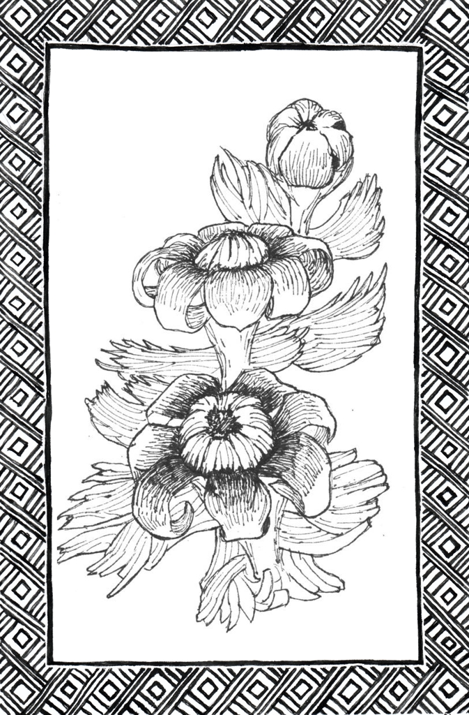 Slide 36